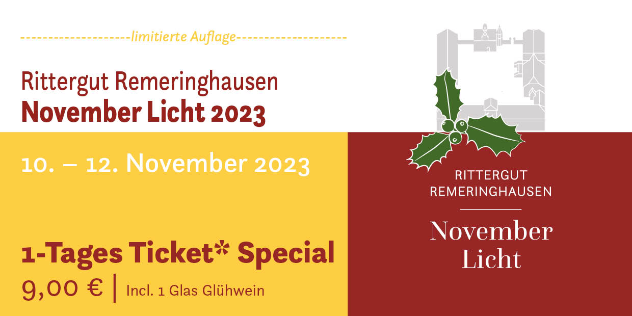 November Licht 2023 - 1Tages-Ticket (Special)